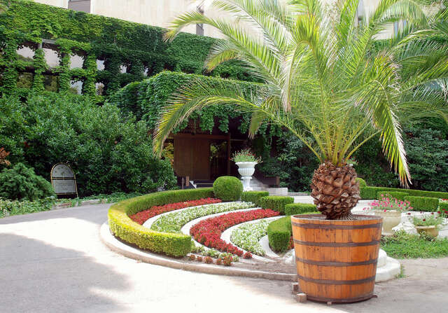 Курортные отели Imperial Hotel and SPA, Riviera Holiday Club Золотые Пески-9